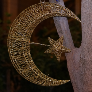 Moon Light with Star (Small Size) – Elegant Golden Crescent Decorative Hanging Light